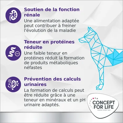 Soutien de la fonction rénale, teneur en protéines réduite, prévention des calculs urinaires. Concept for Life. Texte en français sur les bienfaits pour la santé du chien.