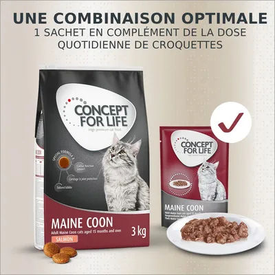 Croquettes et sachet Concept for Life Maine Coon saumon, 3 kg, pour chats adultes. Texte : Une combinaison optimale, 1 sachet en complément de la dose quotidienne de croquettes.