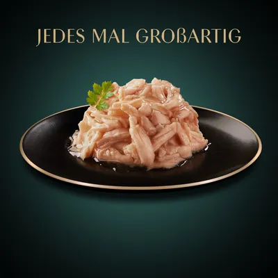 Sheba Filets 16 x 60 g