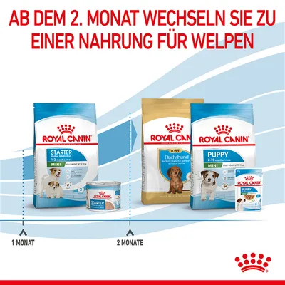 Royal Canin Starter hrana za mladiče do 1 meseca. Od 2. meseca prehod na Royal Canin Puppy hrano, primerno za pse do 10 kg. Priporočilo za Mini in jazbečarje.