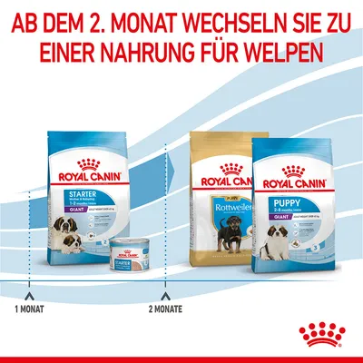 Royal Canin Starter Nahrung für Welpen von 1-2 Monaten. Ab dem 2. Monat wechseln zu Royal Canin Puppy Nahrung für Rottweiler oder Giant-Rassen, geeignet für 2-8 Monate.