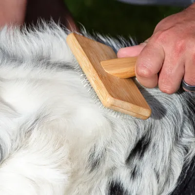 Hand holding a wooden brush with metal bristles, brushing an animal's fur.
