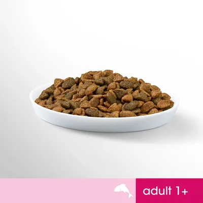 Miska s granulemi, v pravém dolním rohu růžový pruh s bílým textem „adult 1+“ a ikonou delfína.