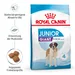 Royal Canin Giant Junior