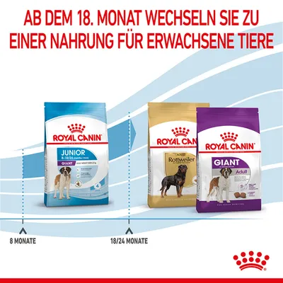 Royal Canin Fütterungsempfehlung: Junior-Futter bis 18/24 Monate, danach Wechsel zu Adult-Futter für erwachsene Tiere. Abgebildet: Giant Junior, Rottweiler Adult, Giant Adult.