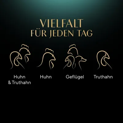 Vielfalt für jeden Tag: Huhn & Truthahn, Huhn, Geflügel, Truthahn.
