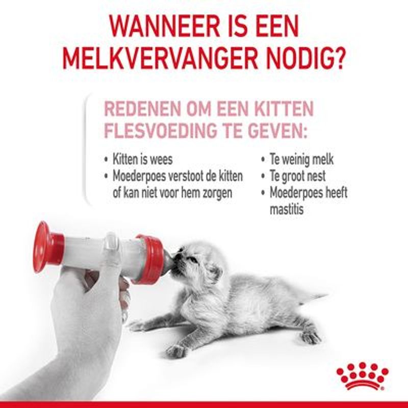 Royal Canin Babycat Milk