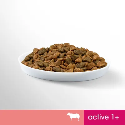 Tørfoder i hvid skål. Nederst ses ikon af ko og teksten 'active 1+' på lyserød baggrund.