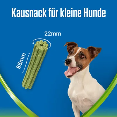 Kaunsnack für kleine Hunde, Länge 85mm, Durchmesser 22mm. Grüner Snackstab neben einem kleinen Hund mit braun-weisser Fellzeichnung.