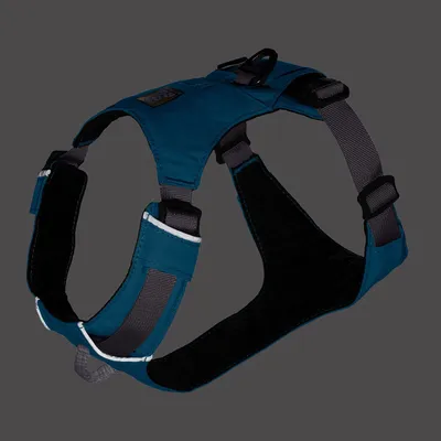 Sininen koiranvaljaat säädettävillä hihnoilla, pehmustetuilla osilla ja metallirenkaalla talutushihnan kiinnitystä varten.
