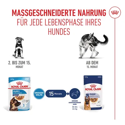Royal Canin Maxi Puppy in Soße