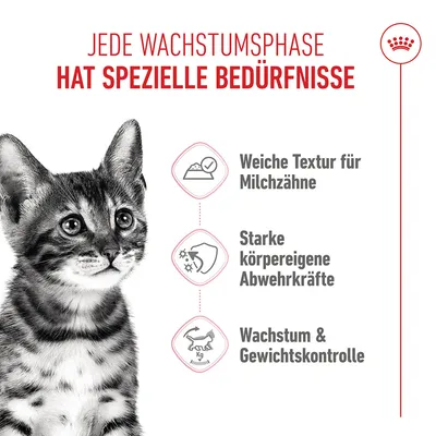 Royal Canin Sterilised Kitten in Soße