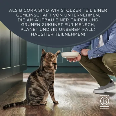 Als B Corp. sind wir Teil einer Gemeinschaft, die eine faire und grüne Zukunft für Mensch, Planet und Haustier aufbaut. Zertifizierte B Corporation. Als B Corp. sind wir Teil einer Gemeinschaft, die eine faire und grüne Zukunft für Mensch, Planet und Haustier aufbaut. Zertifizierte B Corporation.