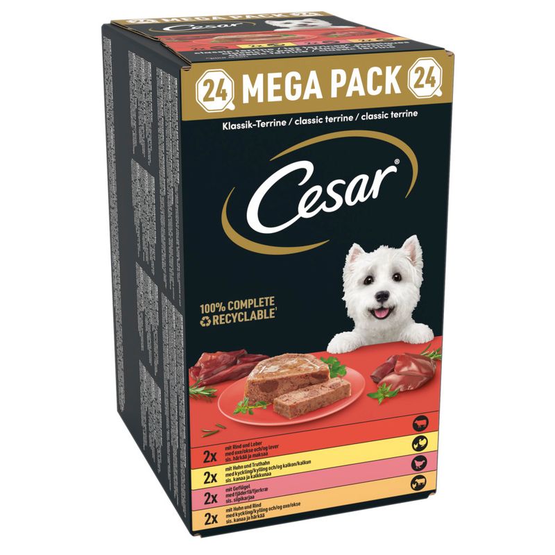 Cesar Classic Terrine Mixed Pack