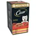 Cesar Classic Terrine Mixed Pack