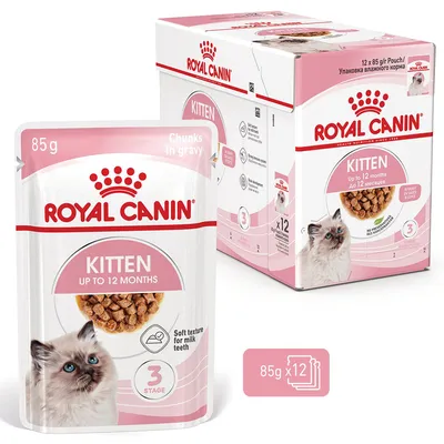 Royal Canin Kitten in Soße