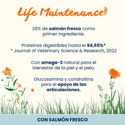 Almo Nature Life Maintenance Adult Large salmón y arroz Almo Nature Life Maintenance Adult Large salmón y arroz