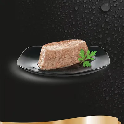 Portion of wet pet food on a black plate with a sprig of parsley garnish, shown against a dark background with water droplets. No visible brand or text.