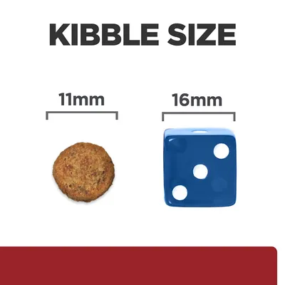 Kibble size comparison showing a round kibble at 11mm next to a blue dice at 16mm for scale.