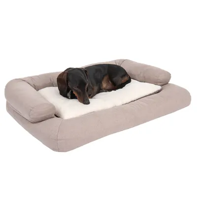 Chien allongé sur un grand coussin rectangulaire beige avec rebords et matelas central blanc, tissu aspect doux. Aucun texte ou marque visible.