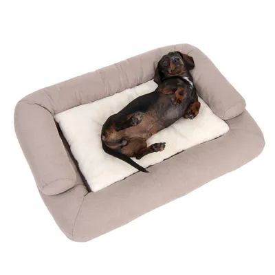 Chien allongé détendu sur un lit pour chien beige avec rembourrage blanc et doux.