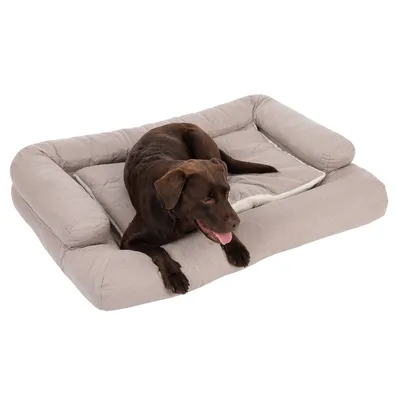Grand chien marron allongé sur un grand coussin rectangulaire beige à rebords, tissu aspect doux. Aucun texte ou marque visible.