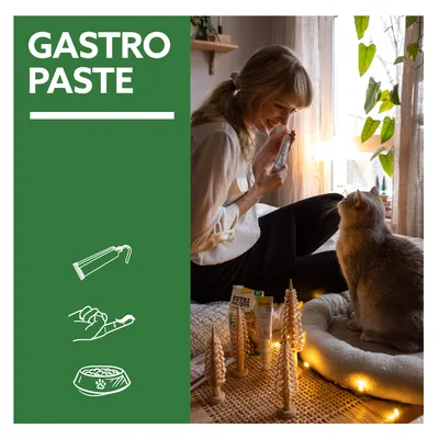 Gastro Paste. Illustration zeigt Tube, Hand mit Paste und Futternapf. Frau hält Produkt, Katze sitzt daneben.