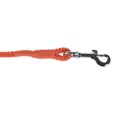 Guinzaglio arancione per cani in materiale intrecciato con moschettone in metallo argentato.