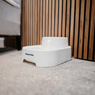 Fontana per acqua bianca con la scritta Closer Pets, posizionata su un tappeto davanti a un rivestimento in legno.