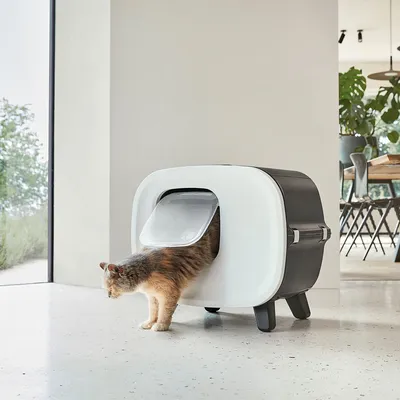 Cat toilet with white flap and black housing, cat leaving the toilet through the door opening.
