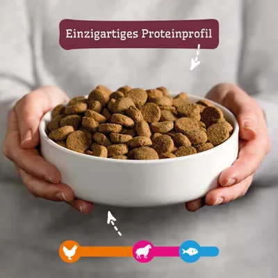 Schale mit Trockenfutter, Text: Einzigartiges Proteinprofil. Symbole für Huhn, Lamm und Fisch als Proteinquellen. Schale mit Trockenfutter, Text: Einzigartiges Proteinprofil. Symbole für Huhn, Lamm und Fisch als Proteinquellen.