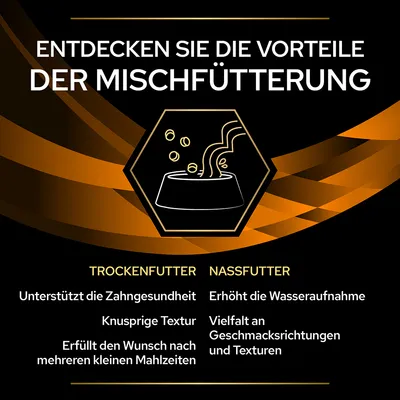 Texte en allemand : Entdecken Sie die Vorteile der Mischfütterung. Trockenfutter : Unterstützt die Zahngesundheit, Knusprige Textur, Erfüllt den Wunsch nach mehreren kleinen Mahlzeiten. Nassfutter : Erhöht die Wasseraufnahme, Vielfalt an Geschmacksrichtungen und Texturen.