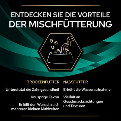 Entdecken Sie die Vorteile der Mischfütterung: Trockenfutter unterstützt Zahngesundheit, knusprige Textur, kleine Mahlzeiten. Nassfutter erhöht Wasseraufnahme, Vielfalt an Geschmacksrichtungen.