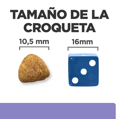 Tamaño de la croqueta: 10,5 mm comparado con un dado azul de 16 mm. Texto visible: 'Tamaño de la croqueta', '10,5 mm', '16 mm'.
