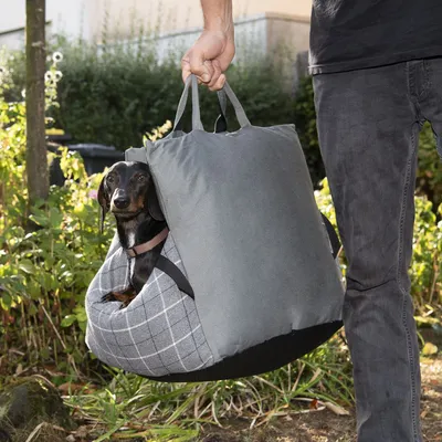 Carrier bag with grey fabric and check pattern, suitable for small dogs. Dog sits comfortably in the bag, carried by a person.