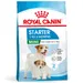 Royal Canin Mini Starter Mother & Babydog