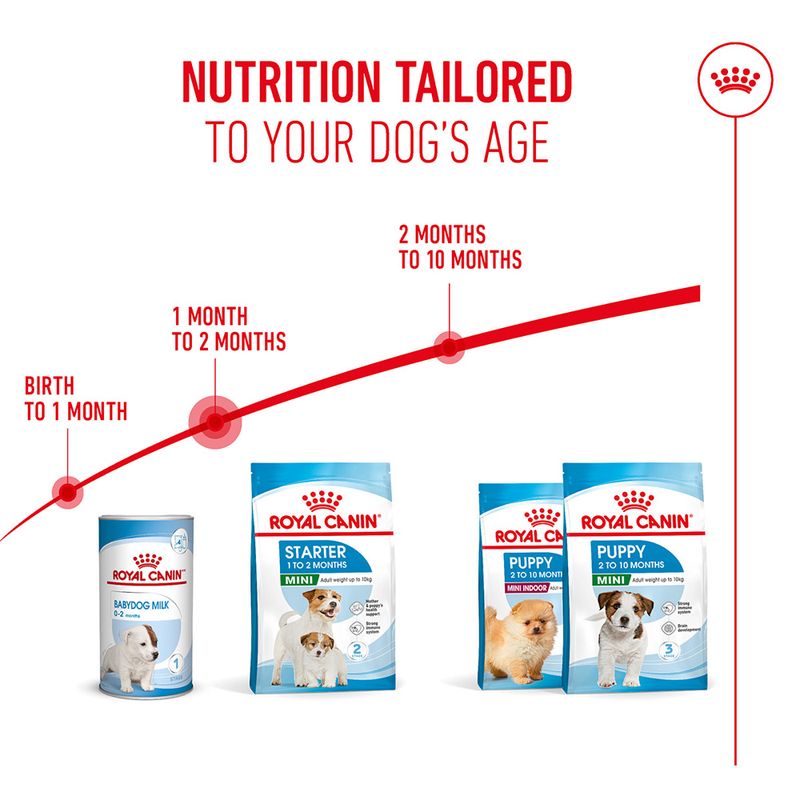 Royal Canin Mini Starter Mother & Babydog | zooplus