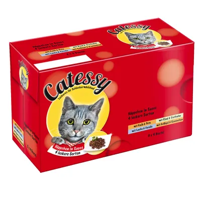 Catessy kissan märkäruoka, pakkauksessa teksti: Happchen in Sauce 4 leckere Sorten, mit Kalb & Pute, mit Lachs & Forelle, mit Rind & Truthahn, mit Geflügel & Kaninchen, 3 x 4 Beutel