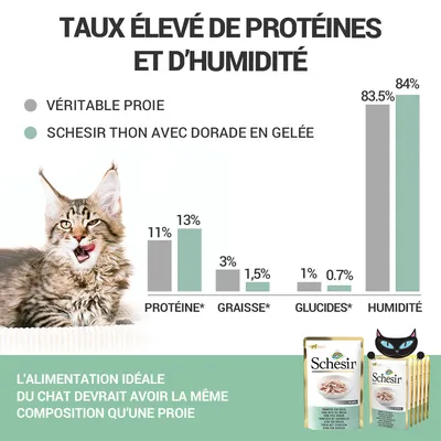 Comparatif Schesir thon avec dorade en gelée vs véritable proie : protéines 13 %/11 %, graisses 1,5 %/3 %, glucides 0,7 %/1 %, humidité 84 %/83,5 %. Texte : alimentation idéale du chat.