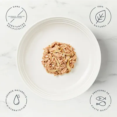 Encore 16 x 70 g boîtes pour chat