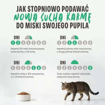 Instrukcja karmienia: Nowy pokarm suchy należy stopniowo dodawać do miski, codziennie zmieniając proporcje mieszanki, po 7 dniach stosować wyłącznie nowy pokarm. Kot i miska z pokarmem powinny być widoczne.