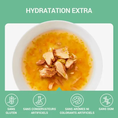 Schesir Cat Soup 12 x 40 g en sachets