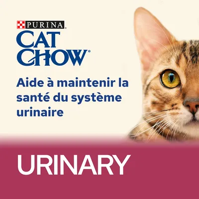PURINA CAT CHOW, texte : Aide à maintenir la santé du système urinaire, URINARY. Image d’un chat tigré avec œil jaune visible.