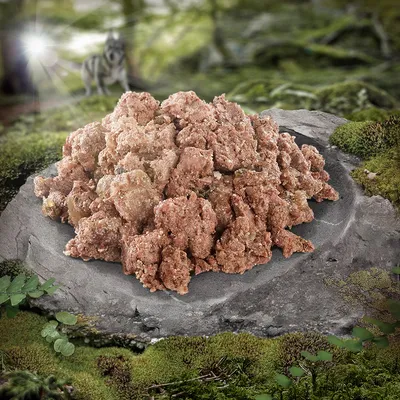 Mucchio di carne cruda su una pietra in un ambiente boschivo, sullo sfondo è visibile un lupo.