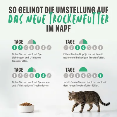 Schesir Cat Original mit Schinken