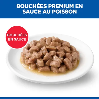 Bouchées Premium en sauce de poisson, Bouchées en sauce. Une assiette avec des morceaux en sauce est présentée. Bouchées Premium en sauce de poisson, Bouchées en sauce. Une assiette avec des morceaux en sauce est présentée.