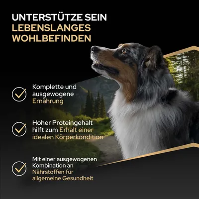 Unterstütze sein lebenslanges Wohlbefinden: komplette und ausgewogene Ernährung, hoher Proteingehalt für Körperkondition, ausgewogene Nährstoffkombination für Gesundheit. Unterstütze sein lebenslanges Wohlbefinden: komplette und ausgewogene Ernährung, hoher Proteingehalt für Körperkondition, ausgewogene Nährstoffkombination für Gesundheit.