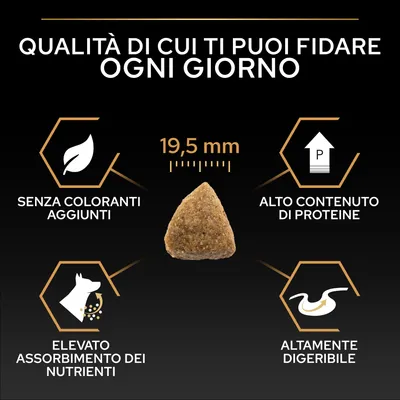Dimensione delle crocchette 19,5 mm, senza coloranti, alto contenuto proteico, elevato assorbimento dei nutrienti, facilmente digeribile. Testo: Qualità di cui puoi fidarti ogni giorno.