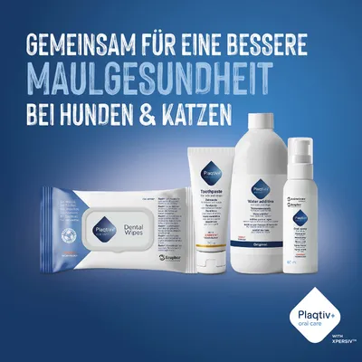 Plaqtiv+ Dental Wipes, Zahnpasta, Wasserzusatz und Oral Spray. Gemeinsam für eine bessere Maulgesundheit bei Hunden & Katzen. Plaqtiv+ Dental Wipes, Zahnpasta, Wasserzusatz und Oral Spray. Gemeinsam für eine bessere Maulgesundheit bei Hunden & Katzen.