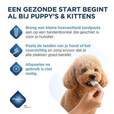 Instructies: Breng een kleine hoeveelheid tandpasta aan op een geschikte borstel, poets de tanden voorzichtig en bereik alle plekken, naspoelen is niet nodig. Plaqtiv+ mondverzorging. Instructies: Breng een kleine hoeveelheid tandpasta aan op een geschikte borstel, poets de tanden voorzichtig en bereik alle plekken, naspoelen is niet nodig. Plaqtiv+ mondverzorging.